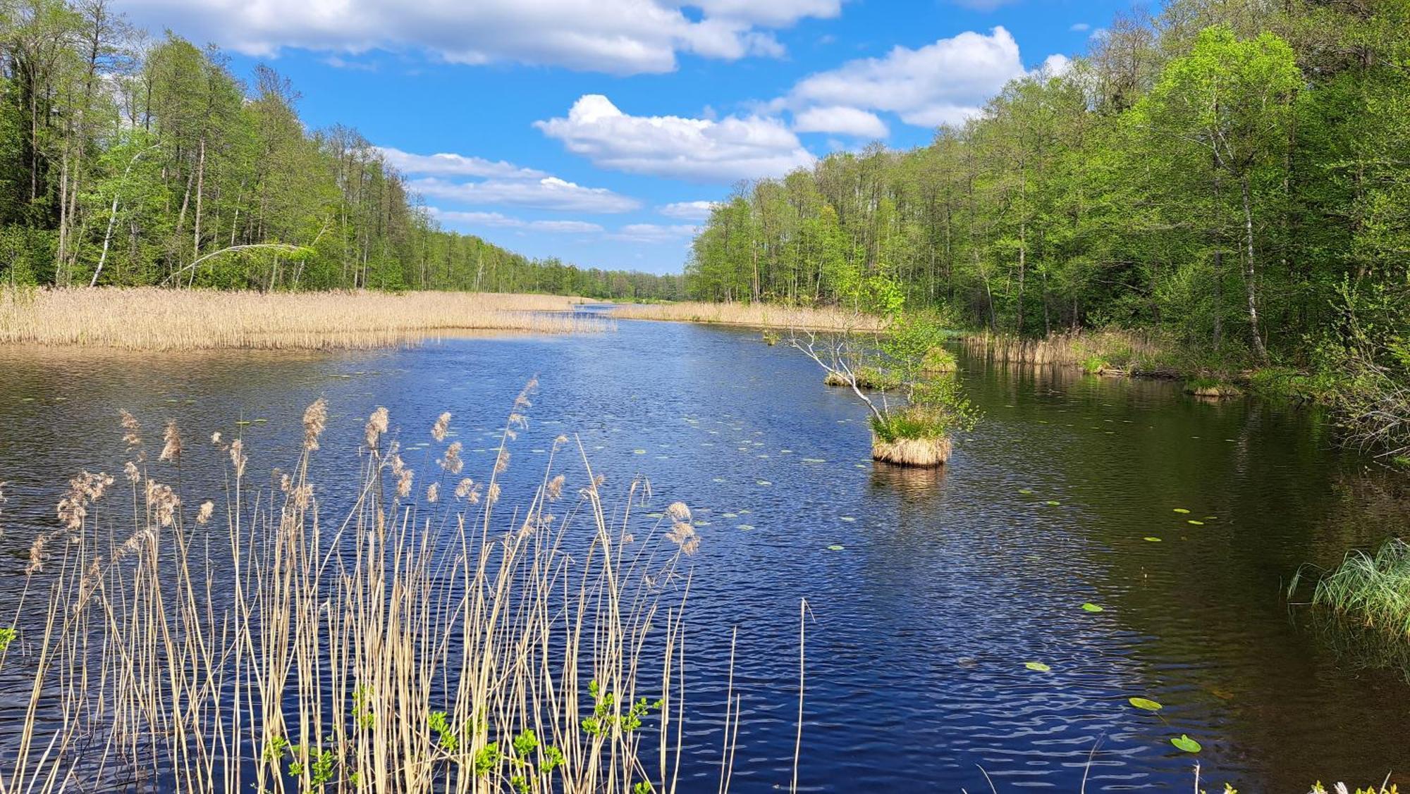 Nasze Podlasie, Domek W Dubiczach Cerkiewnych Dubicze Cerkiewne ภายนอก รูปภาพ